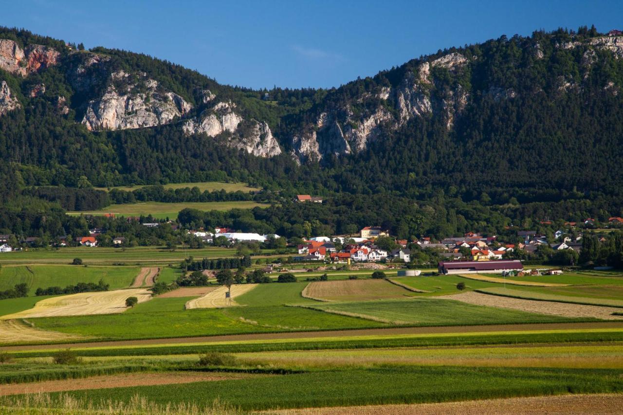 Отель Farmhouse - Hohe Wand Stollhof Экстерьер фото
